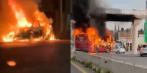  Lo importante es salirse de la lógica de los grupos delictivos, ya que la cadena logística no debería estar entre sus planes.