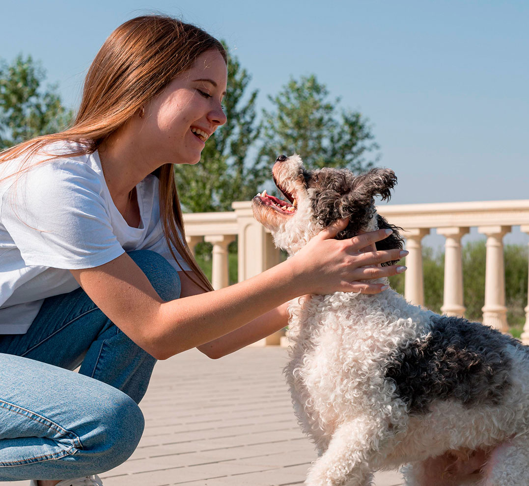 Geely brinda ayuda a los caninos de México